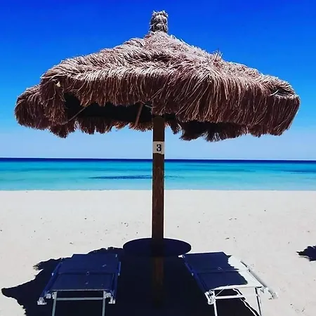 Joli T2 Les Pieds Dans L'eau * Le Barcarès